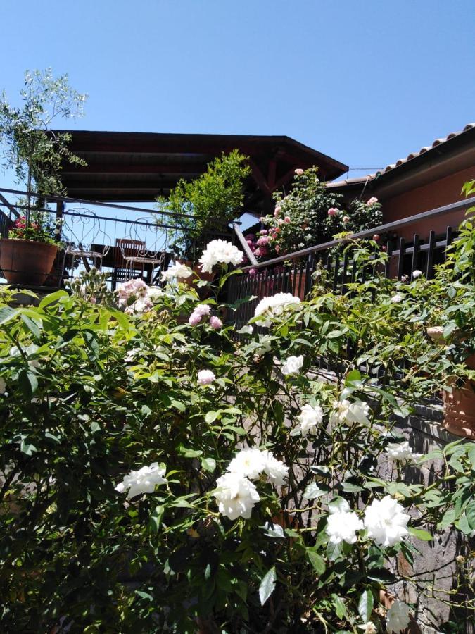 La Fenice Montefiascone Eksteriør billede