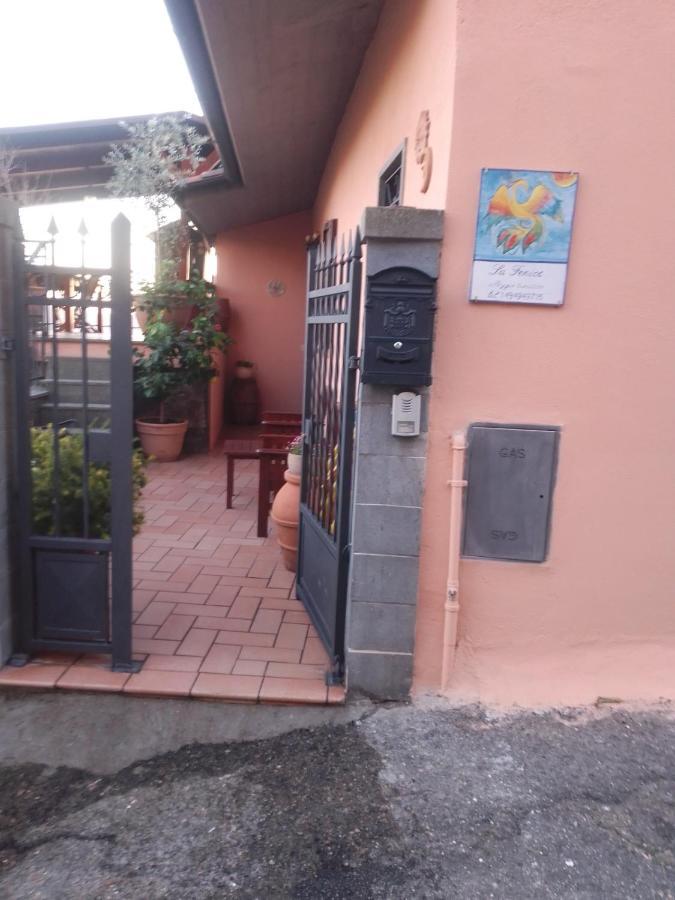 La Fenice Montefiascone Eksteriør billede