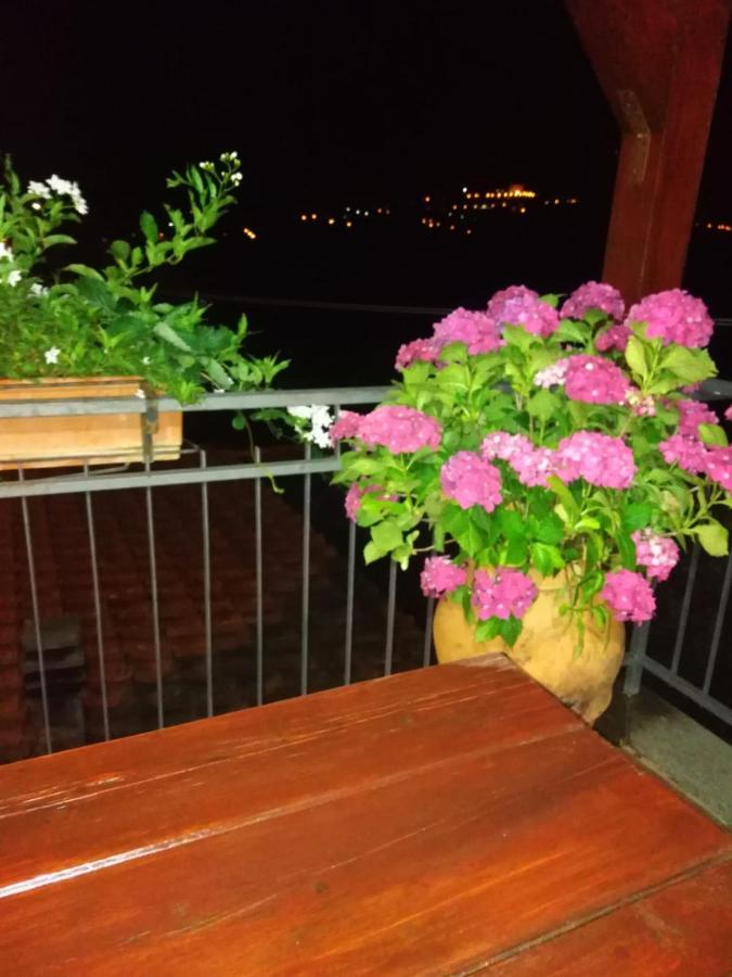 La Fenice Montefiascone Eksteriør billede
