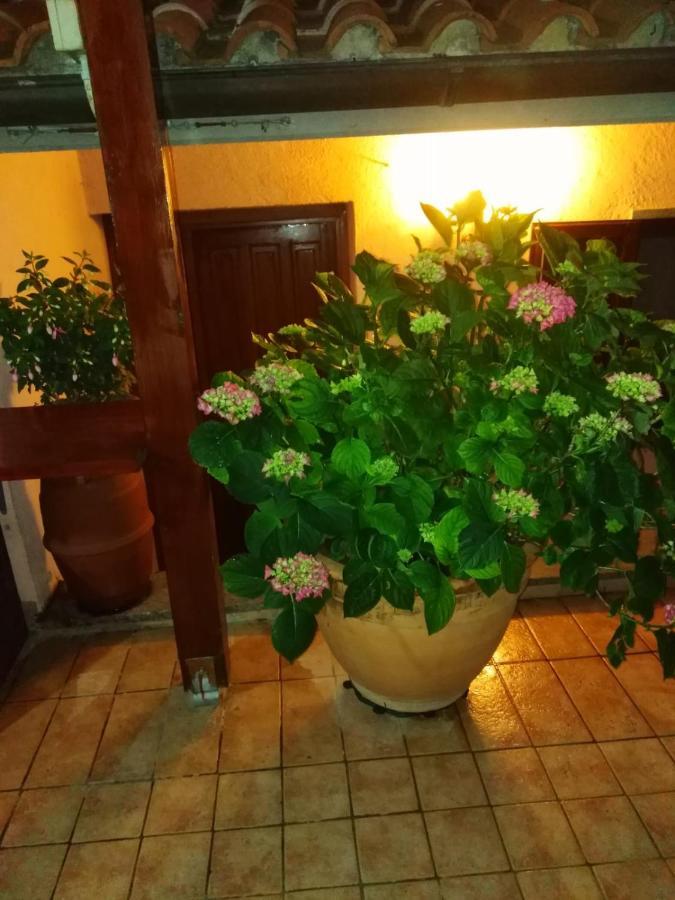 La Fenice Montefiascone Eksteriør billede