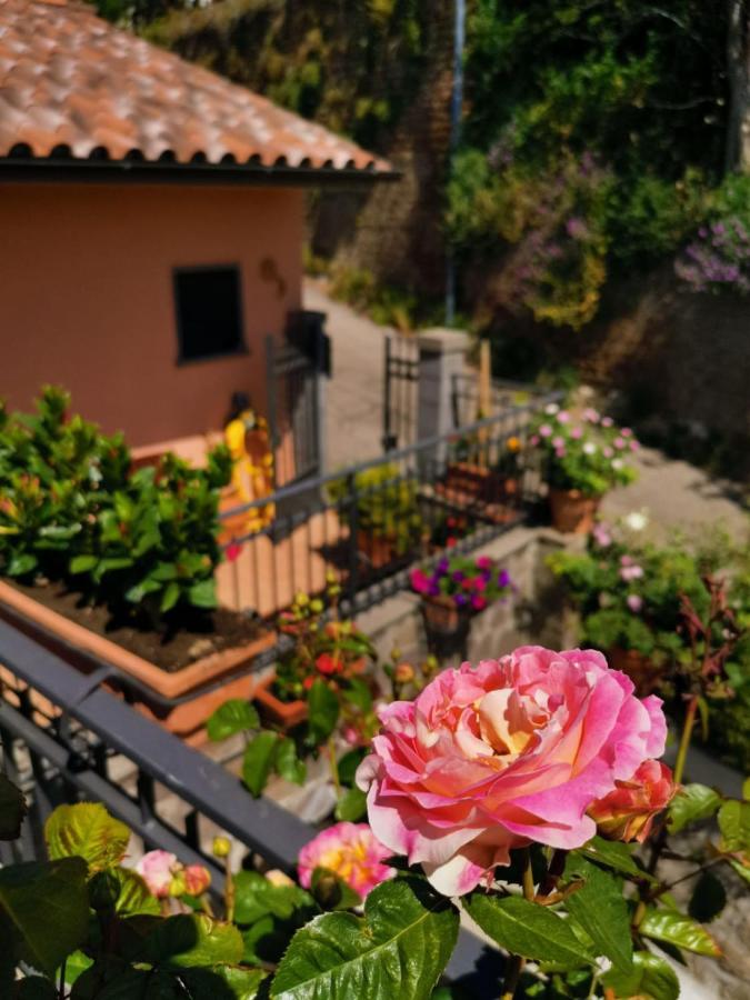 La Fenice Montefiascone Eksteriør billede