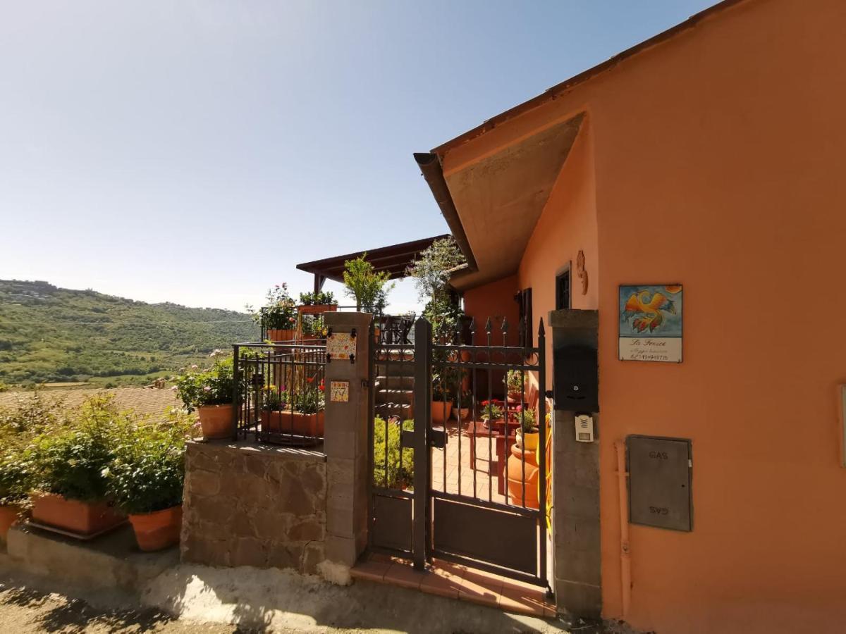 La Fenice Montefiascone Eksteriør billede