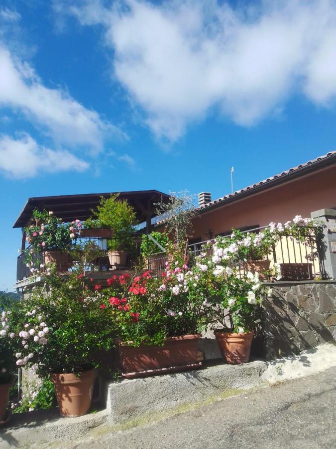 La Fenice Montefiascone Eksteriør billede