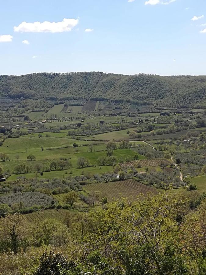 La Fenice Montefiascone Eksteriør billede